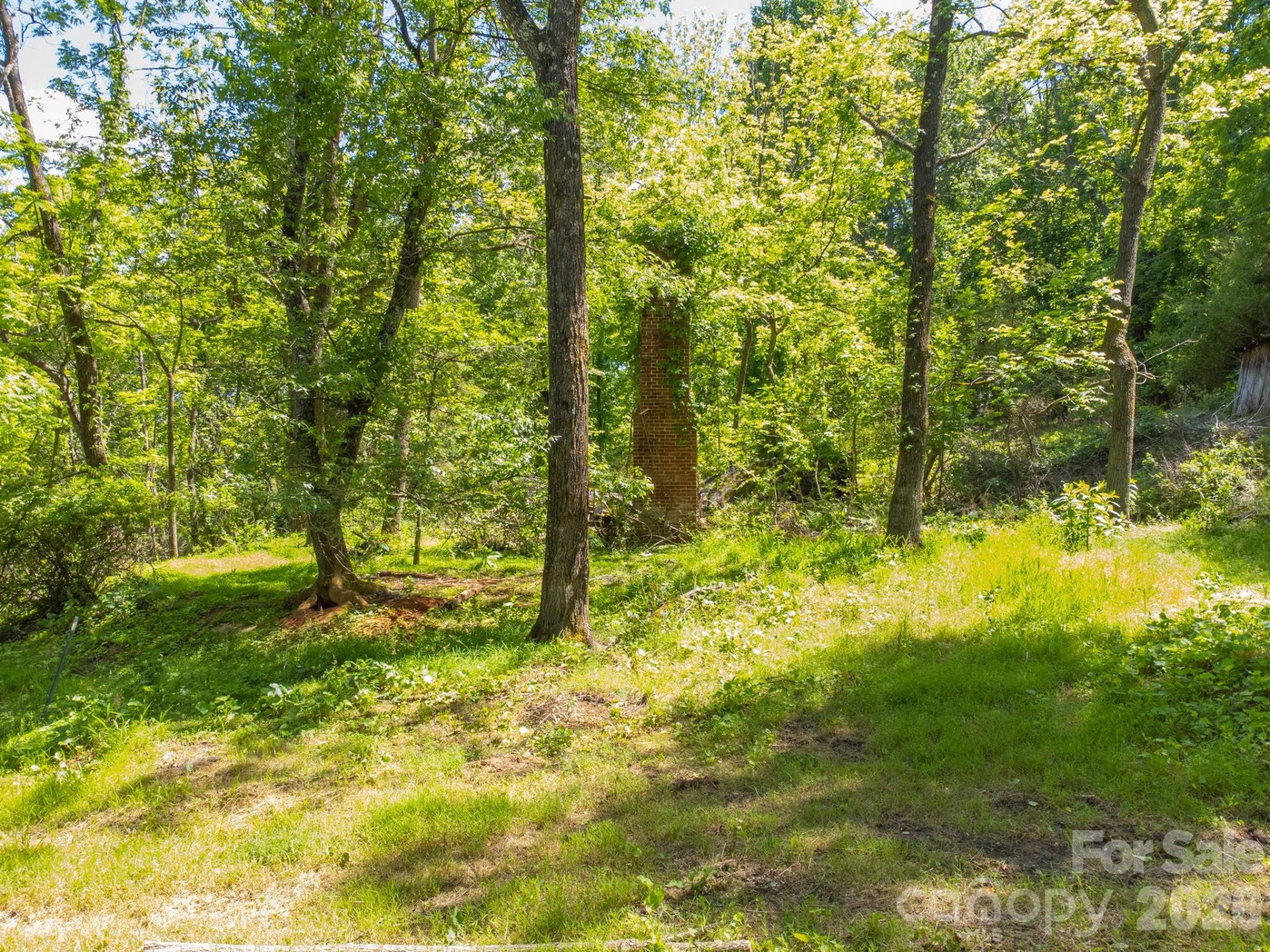 27 Shep Drive - Photo 5