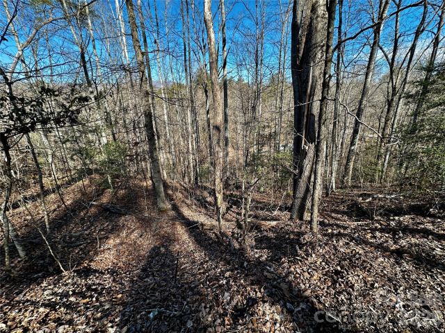 Lot 11 Blue Mist Mountain Road, Whittier, NC, 28789