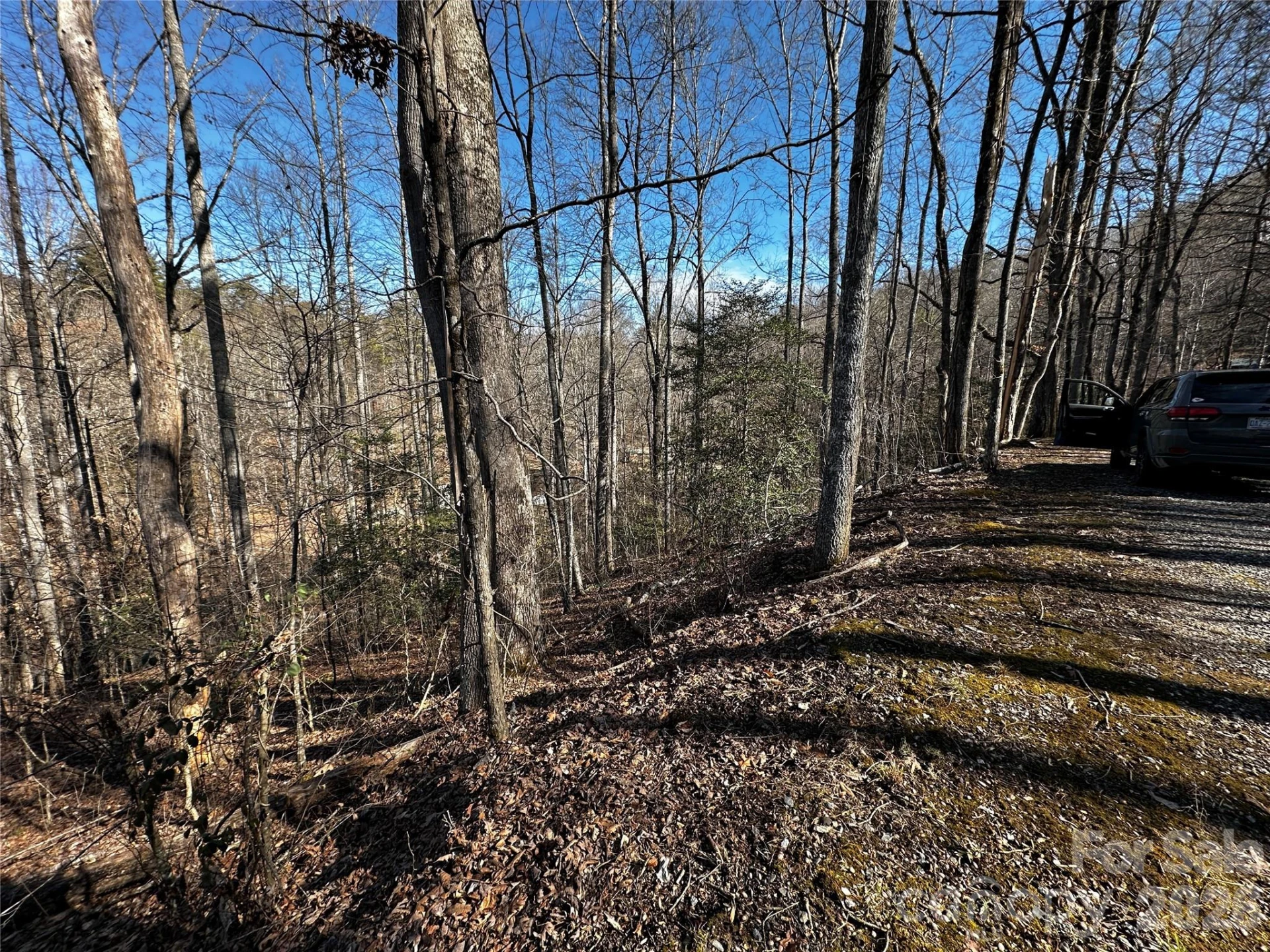 Lot 11 Blue Mist Mountain Road - Photo 2
