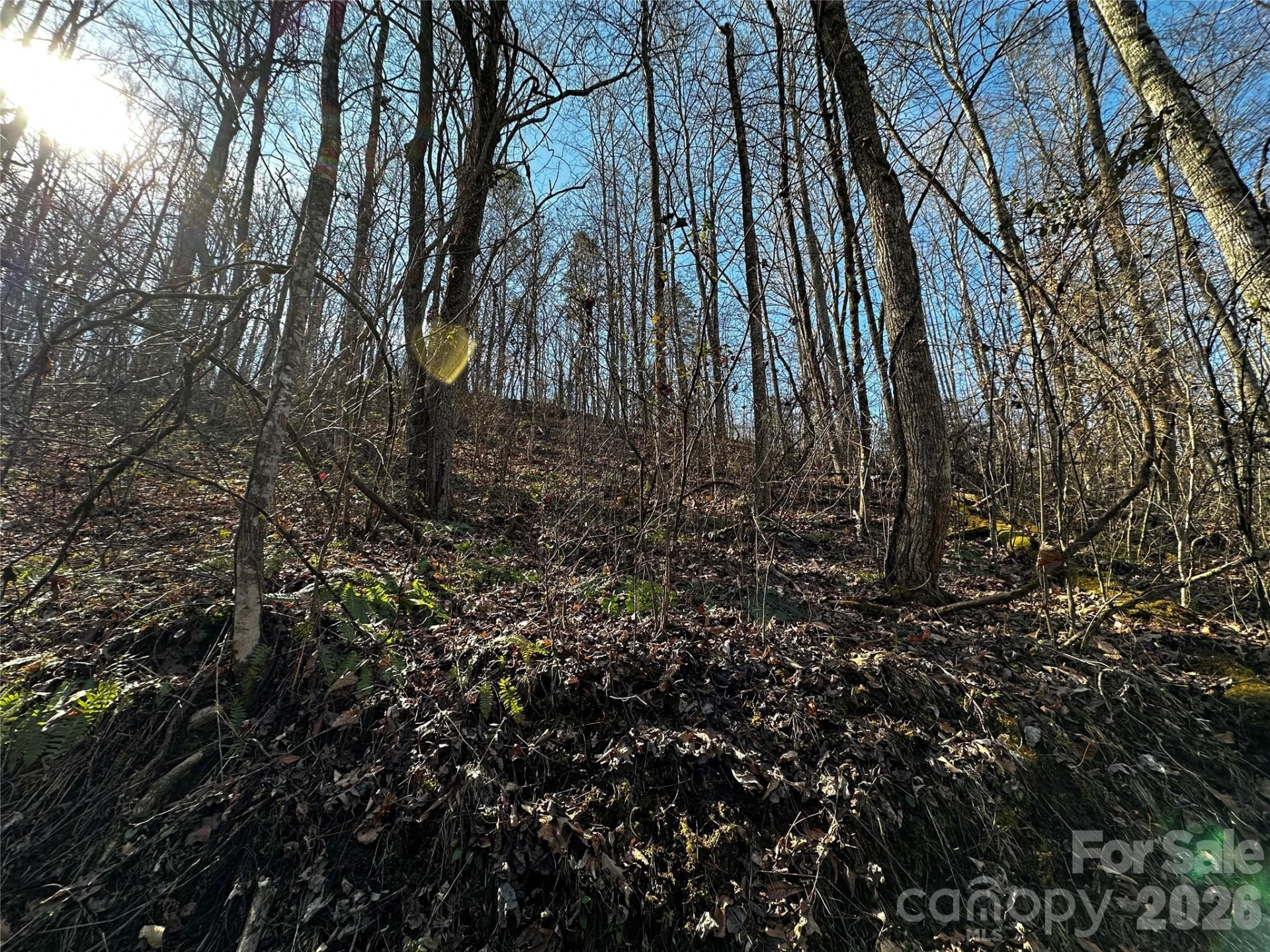Lot 11 Blue Mist Mountain Road - Photo 11