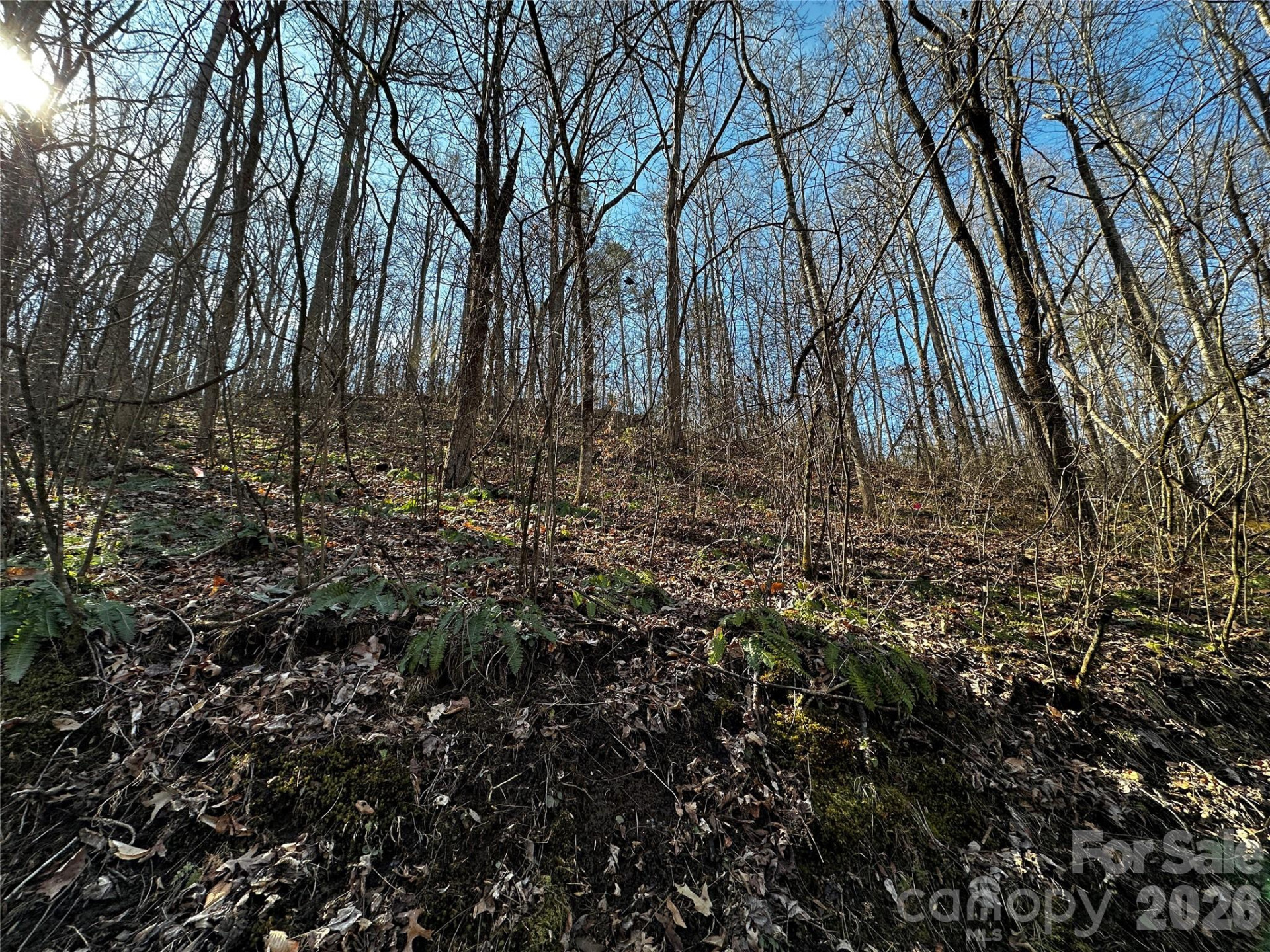 Lot 11 Blue Mist Mountain Road - Photo 12