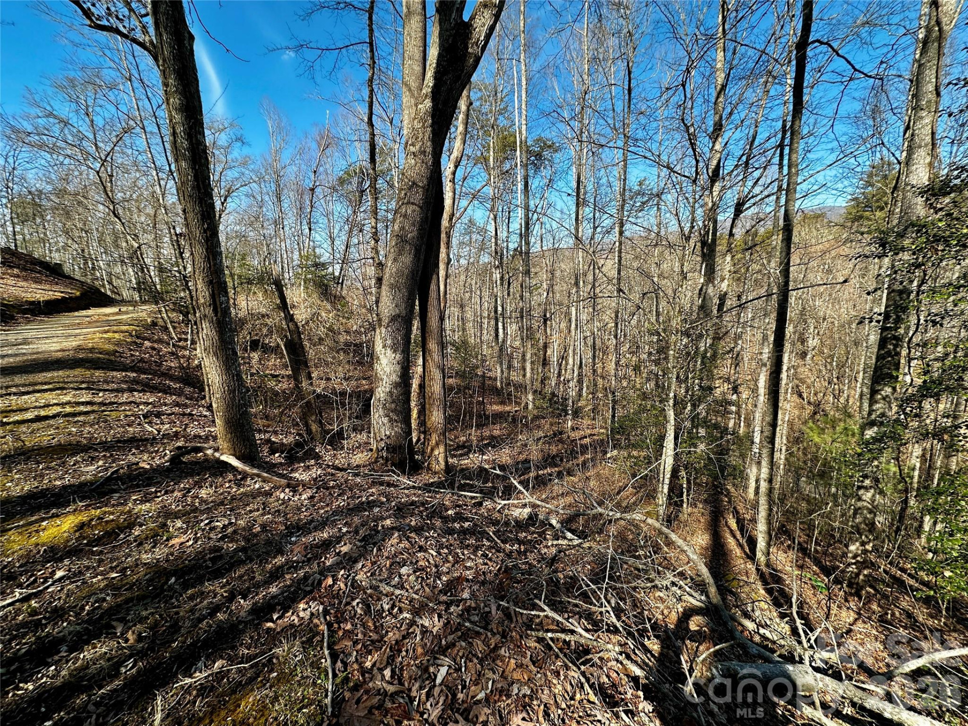 Lot 11 Blue Mist Mountain Road - Photo 13