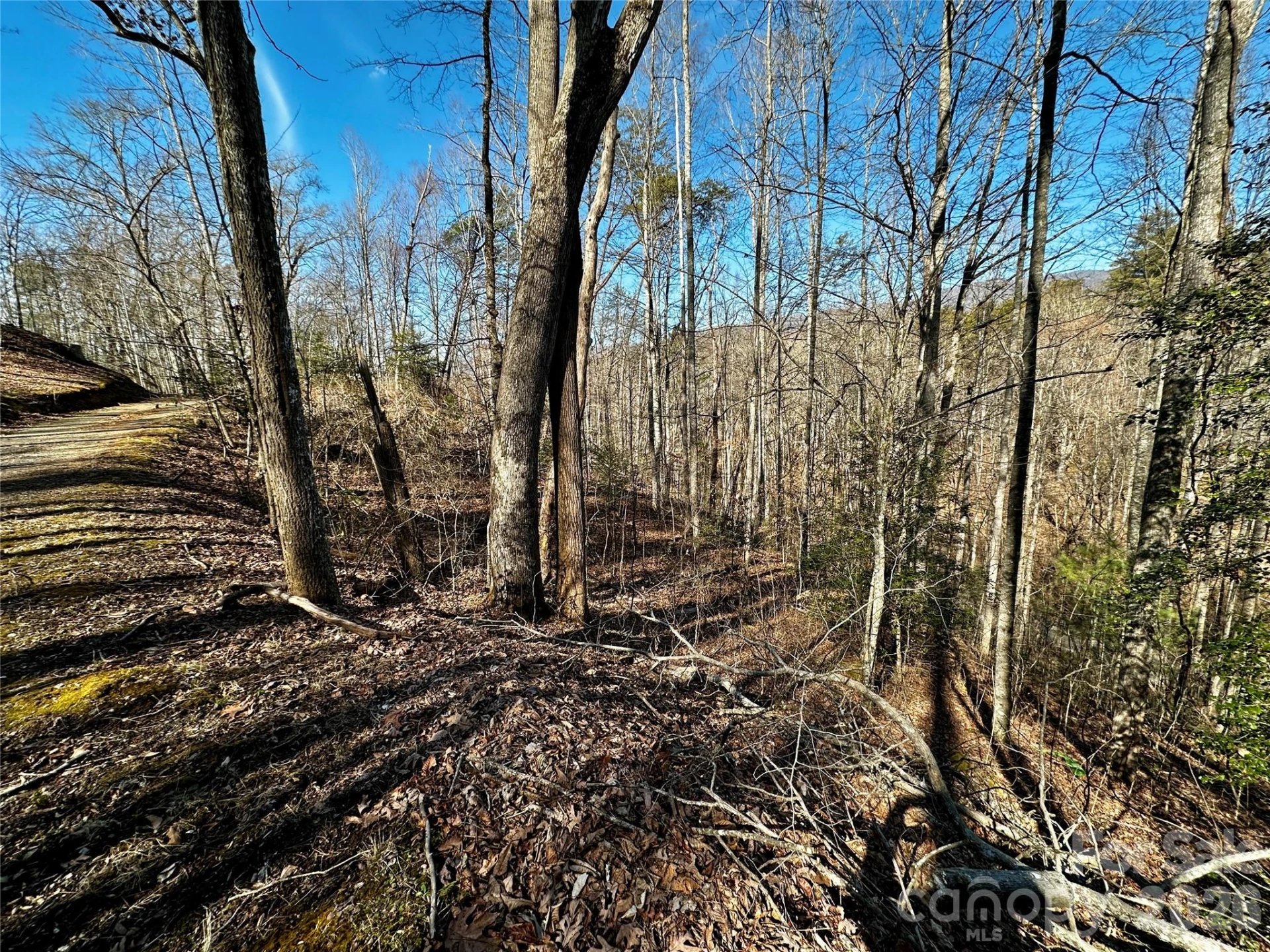 Lot 11 Blue Mist Mountain Road - Photo 13