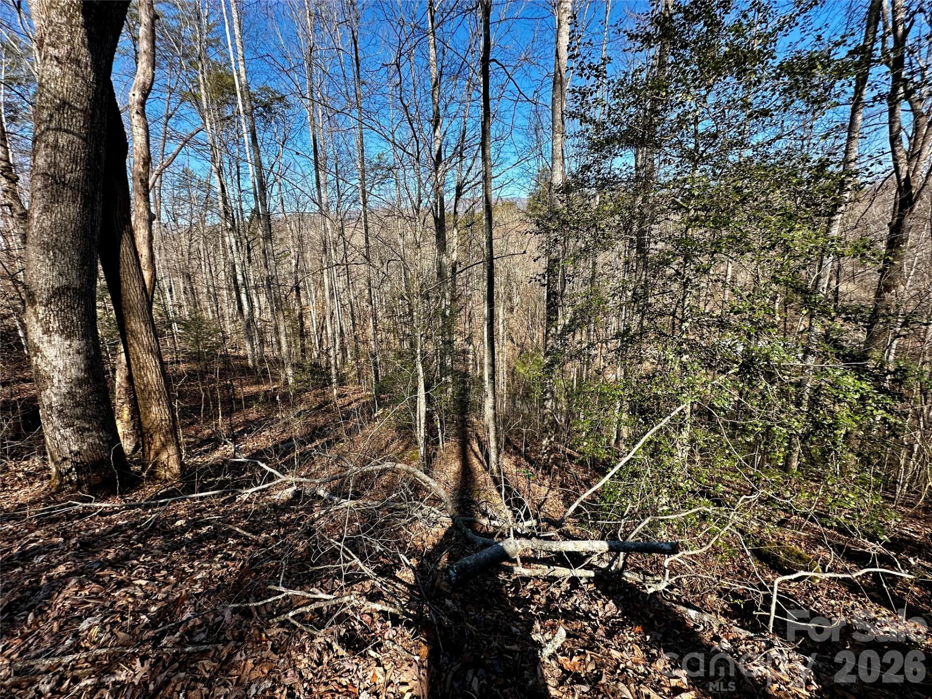 Lot 11 Blue Mist Mountain Road - Photo 14