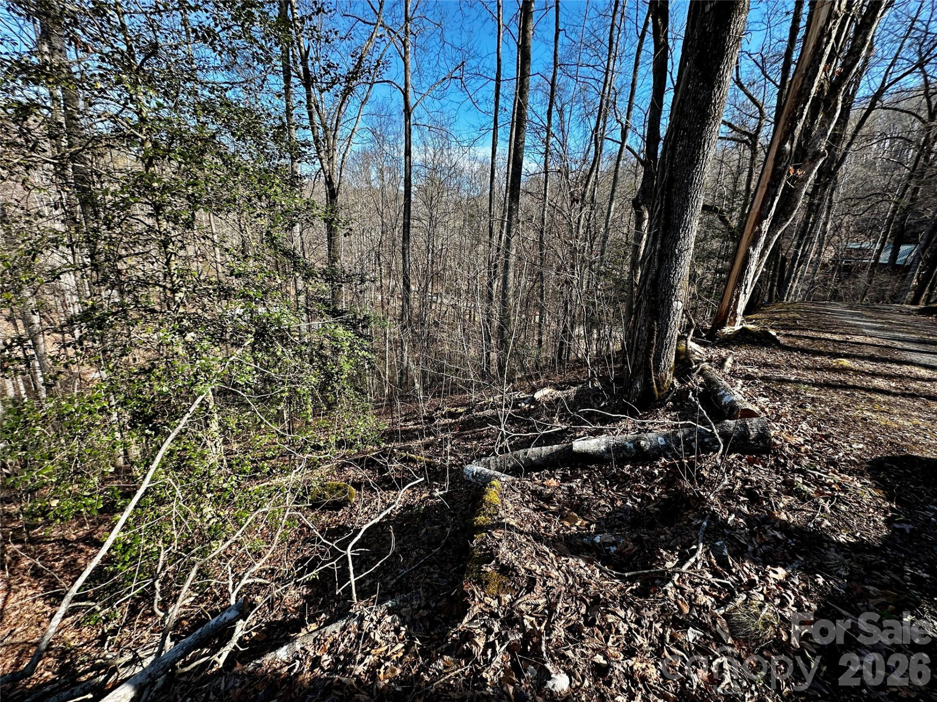 Lot 11 Blue Mist Mountain Road - Photo 15