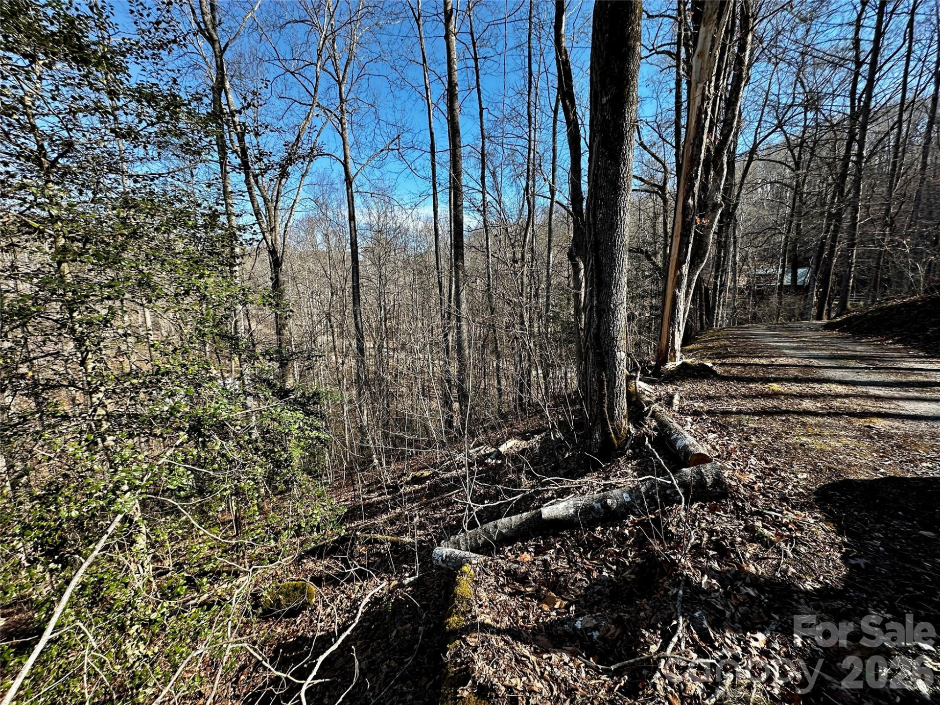 Lot 11 Blue Mist Mountain Road - Photo 16