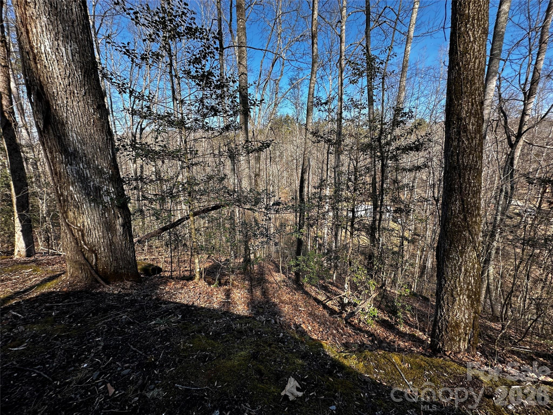 Lot 11 Blue Mist Mountain Road - Photo 17