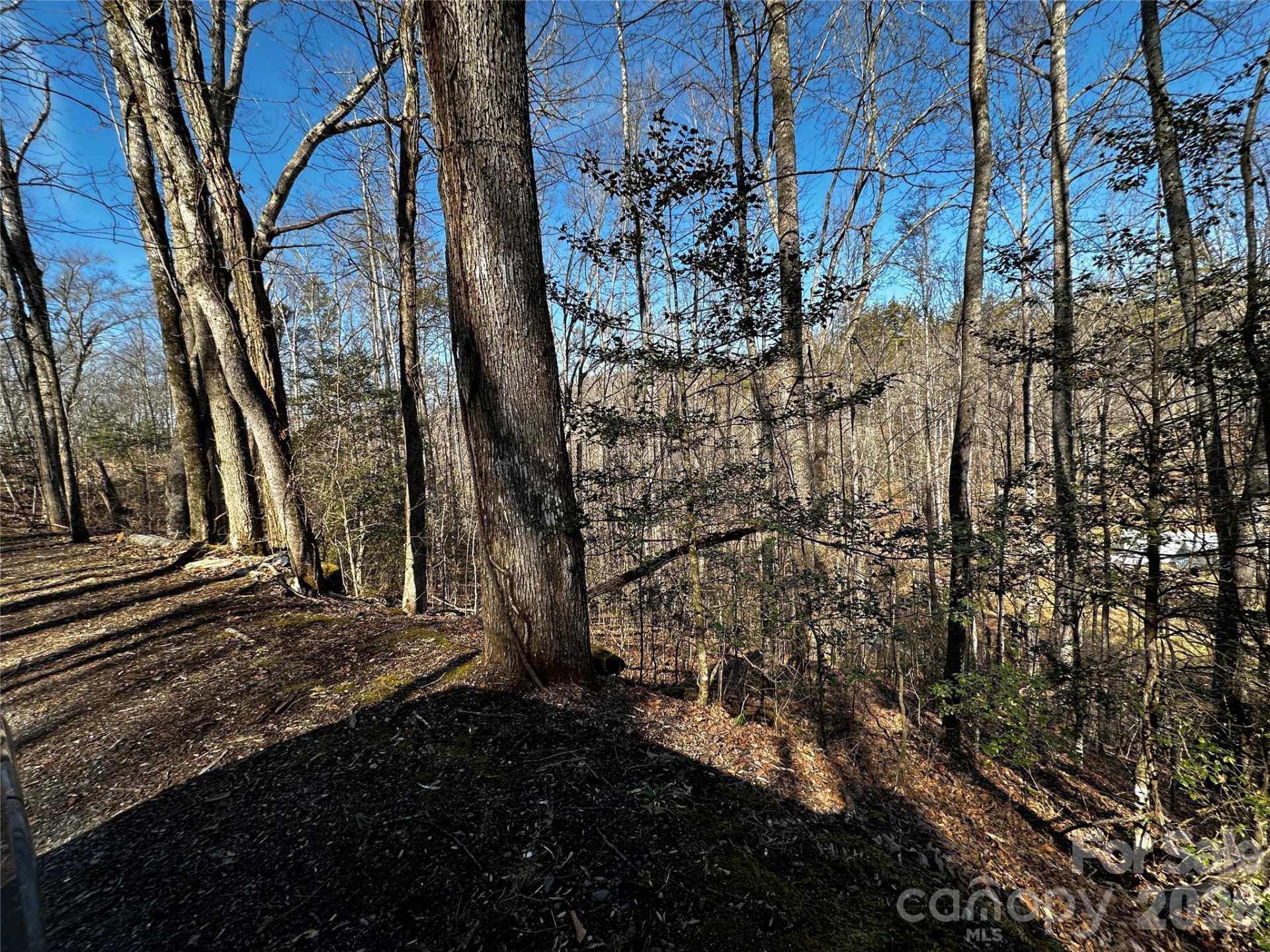 Lot 11 Blue Mist Mountain Road - Photo 18