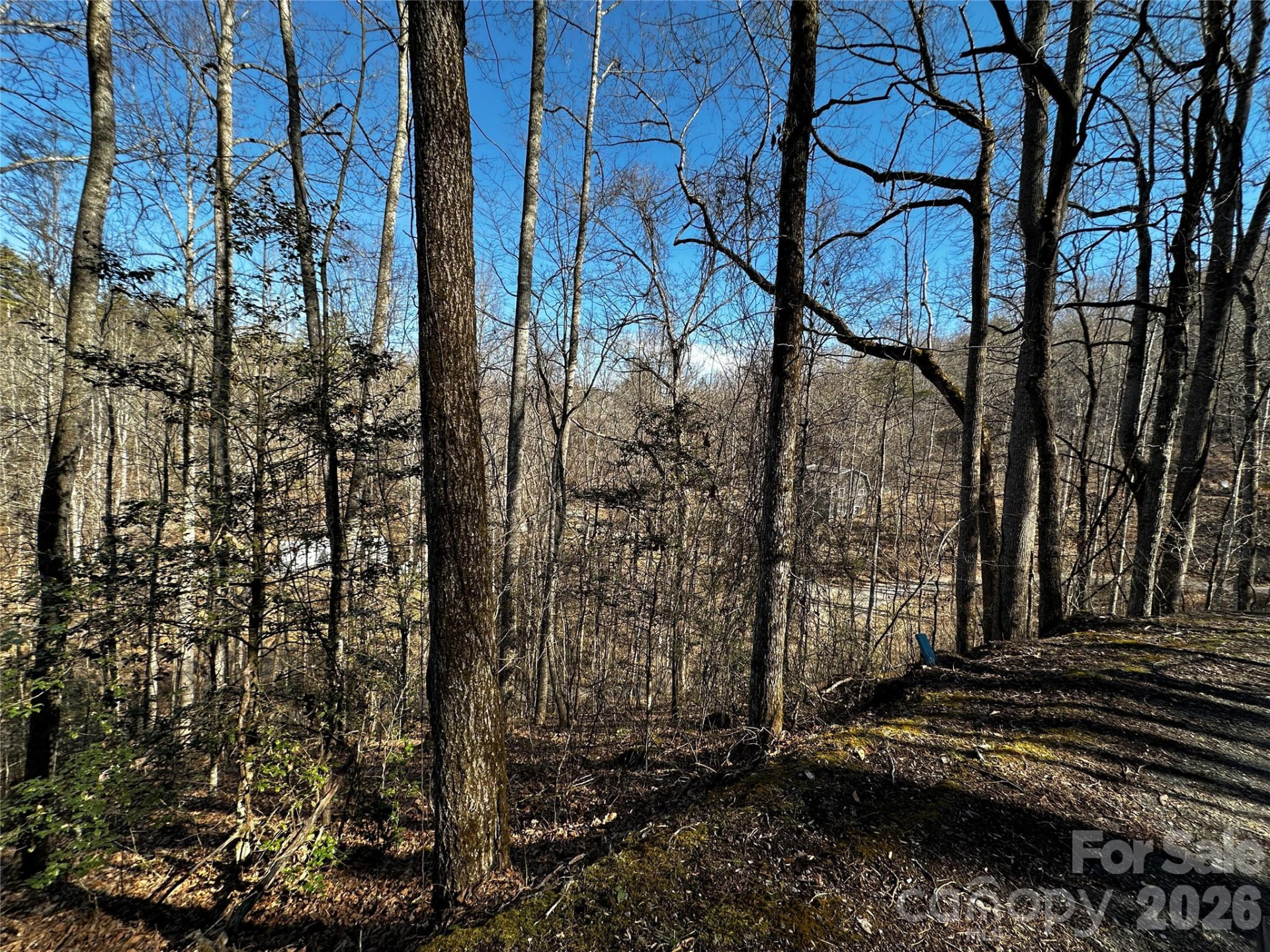 Lot 11 Blue Mist Mountain Road - Photo 19