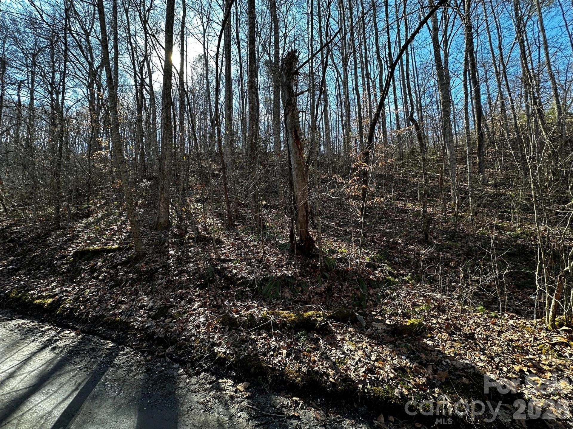 Lot 11 Blue Mist Mountain Road - Photo 3
