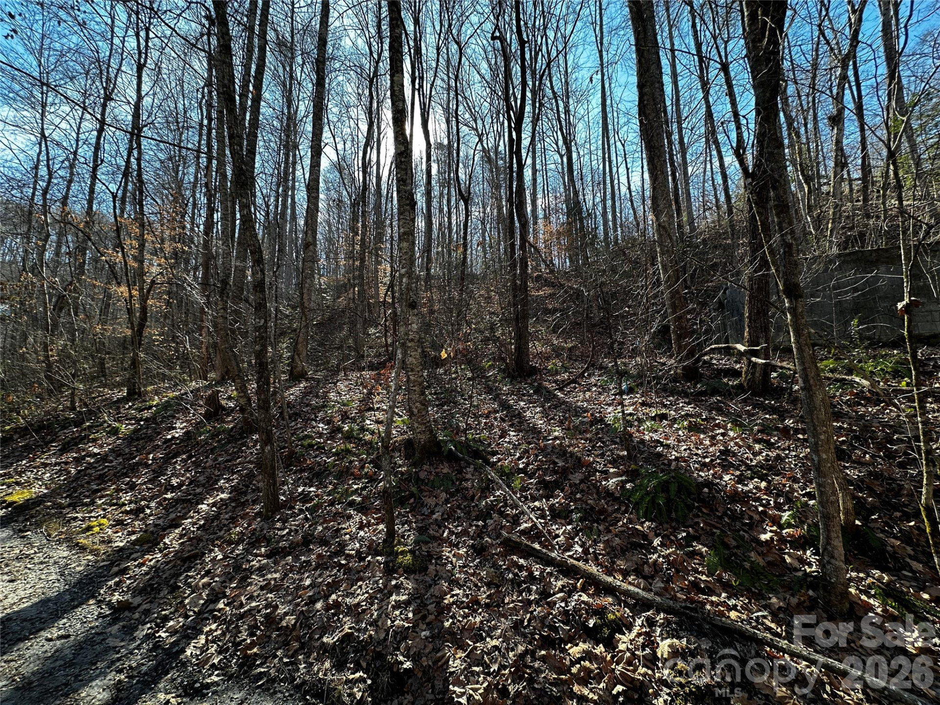 Lot 11 Blue Mist Mountain Road - Photo 4