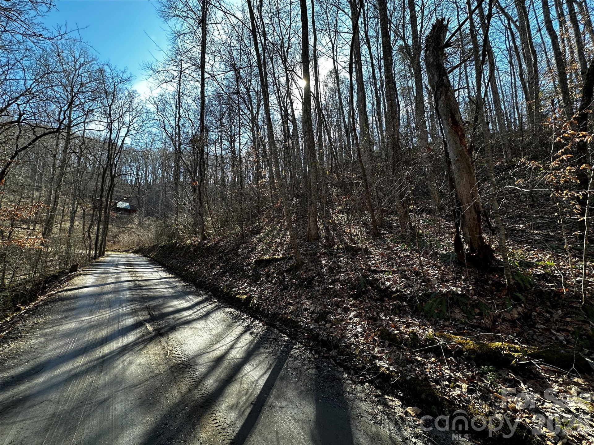 Lot 11 Blue Mist Mountain Road - Photo 5