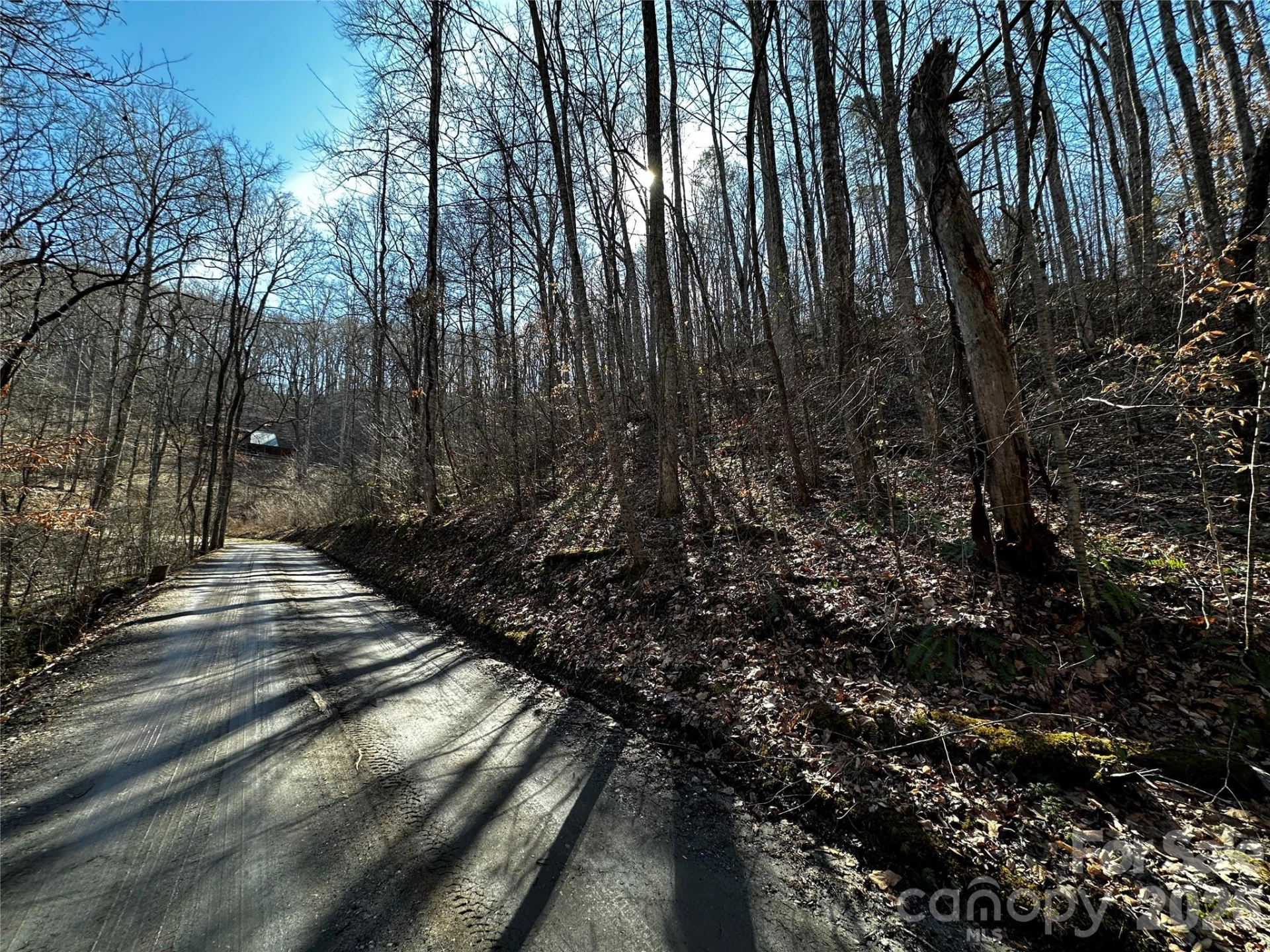 Lot 11 Blue Mist Mountain Road - Photo 5