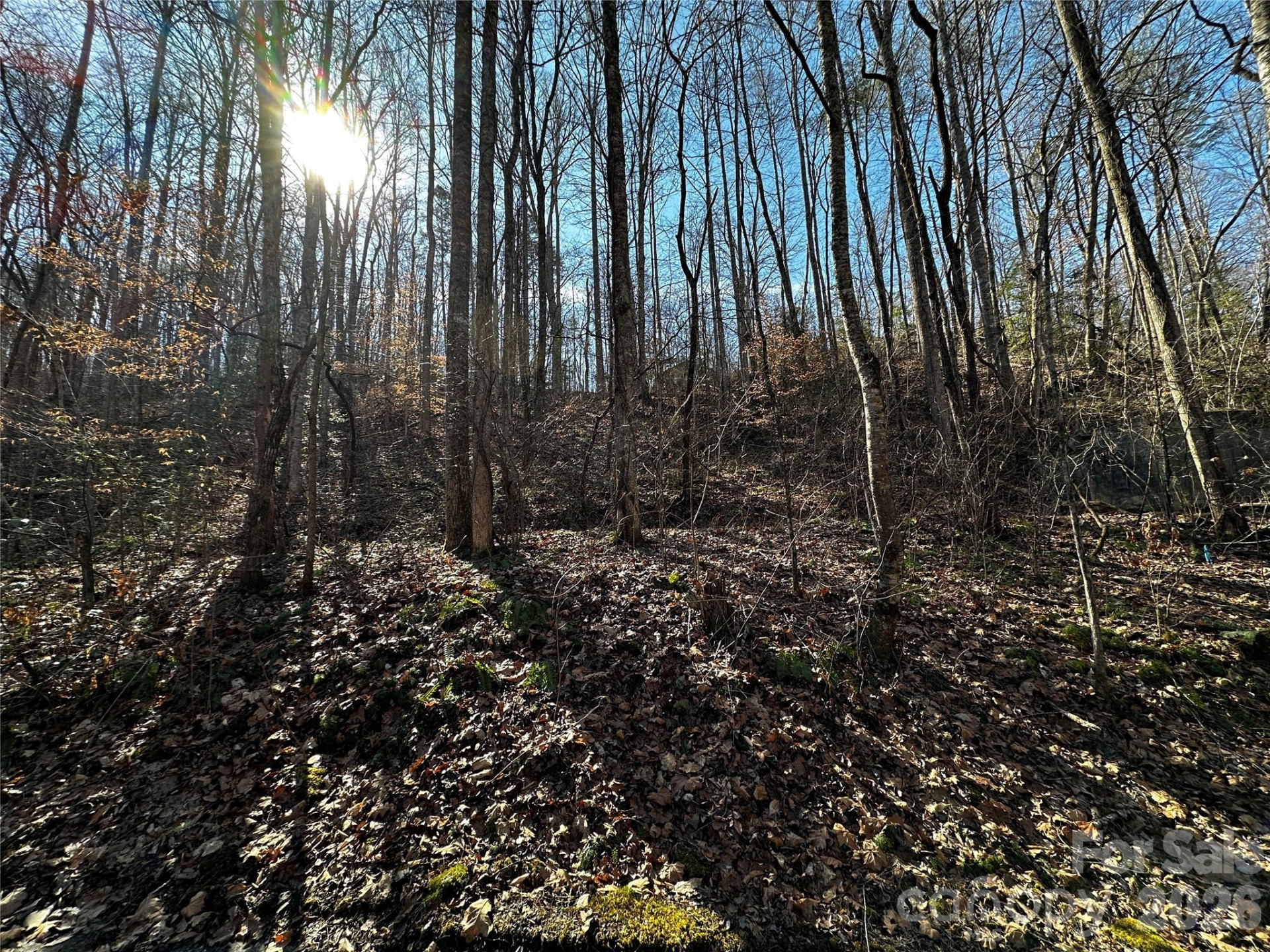 Lot 11 Blue Mist Mountain Road - Photo 6