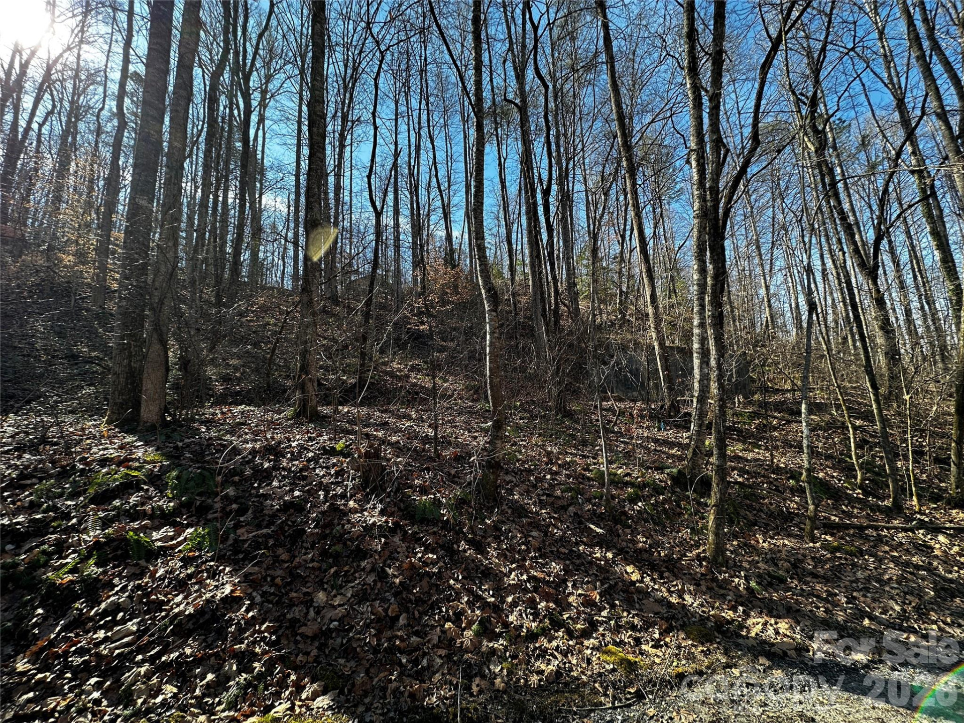 Lot 11 Blue Mist Mountain Road - Photo 7