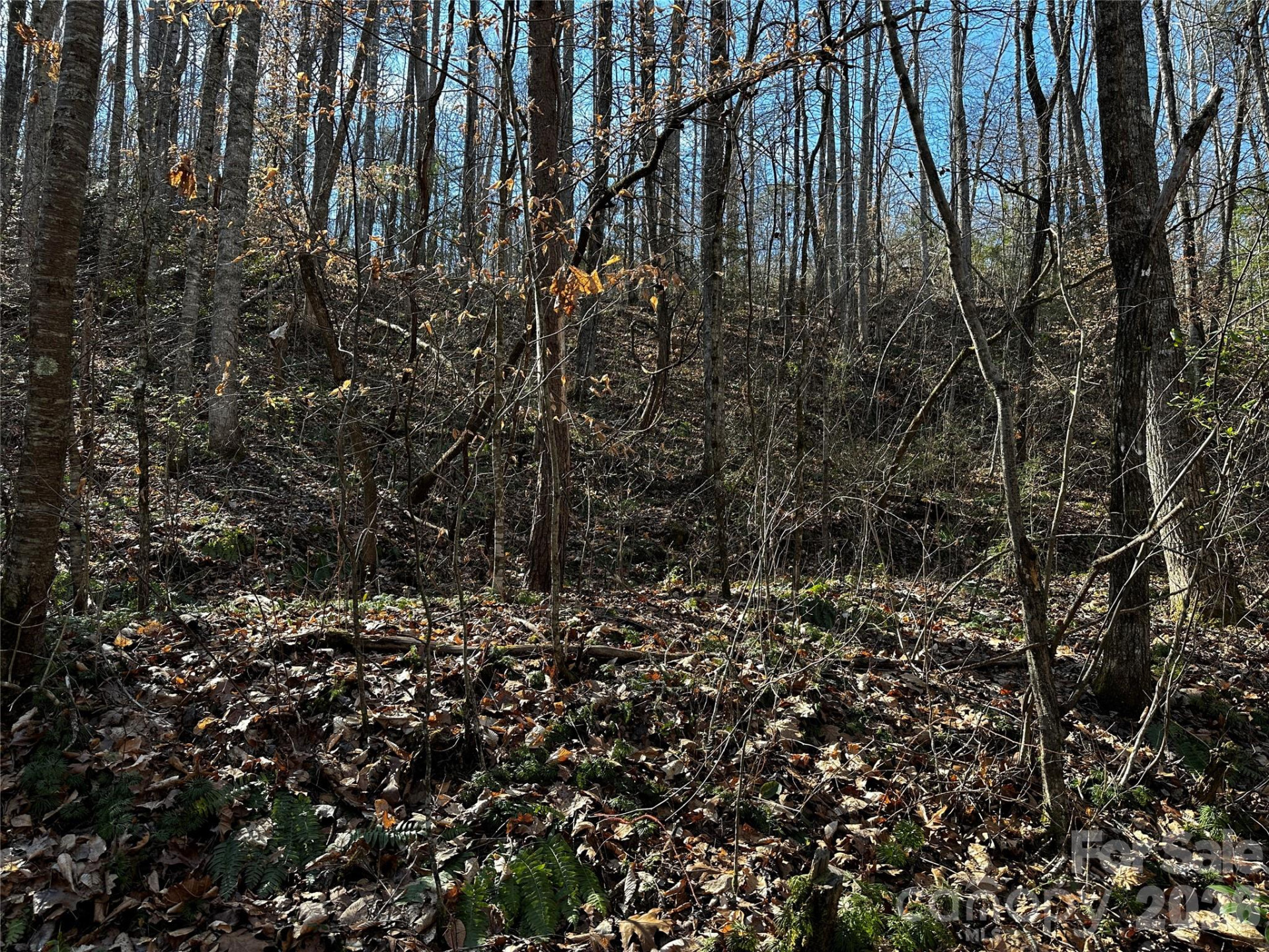 Lot 11 Blue Mist Mountain Road - Photo 8