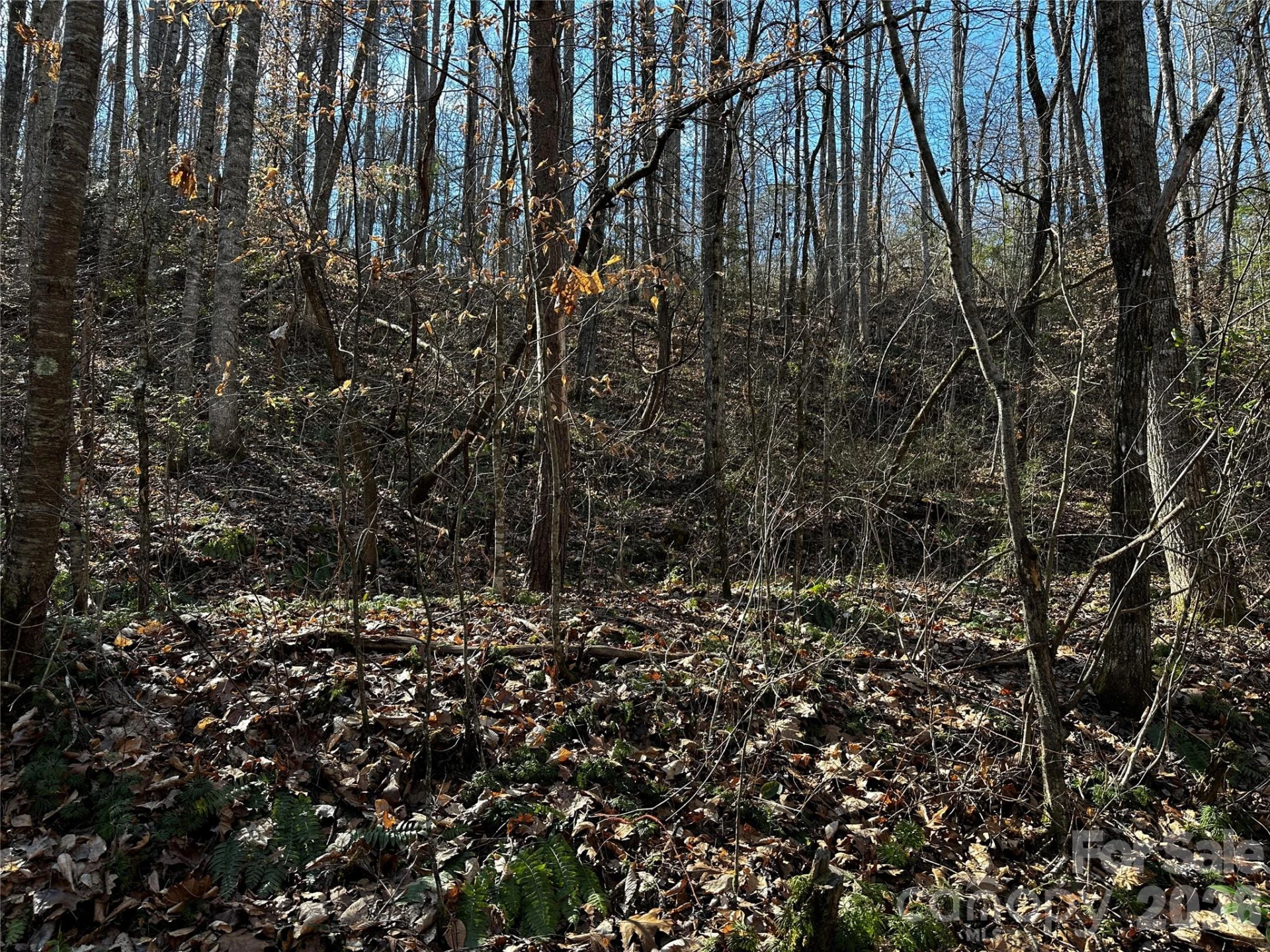 Lot 11 Blue Mist Mountain Road - Photo 8
