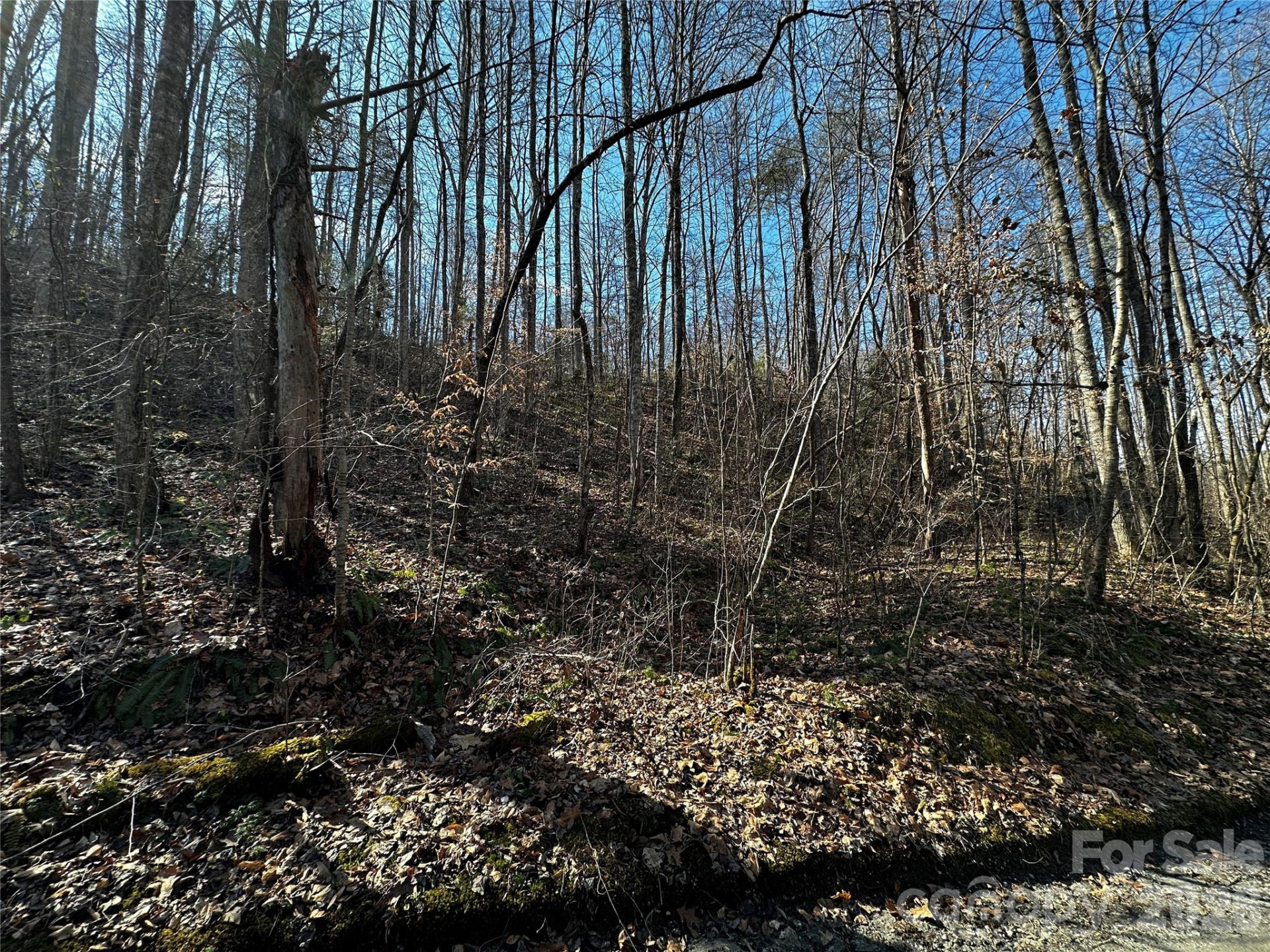 Lot 11 Blue Mist Mountain Road - Photo 9