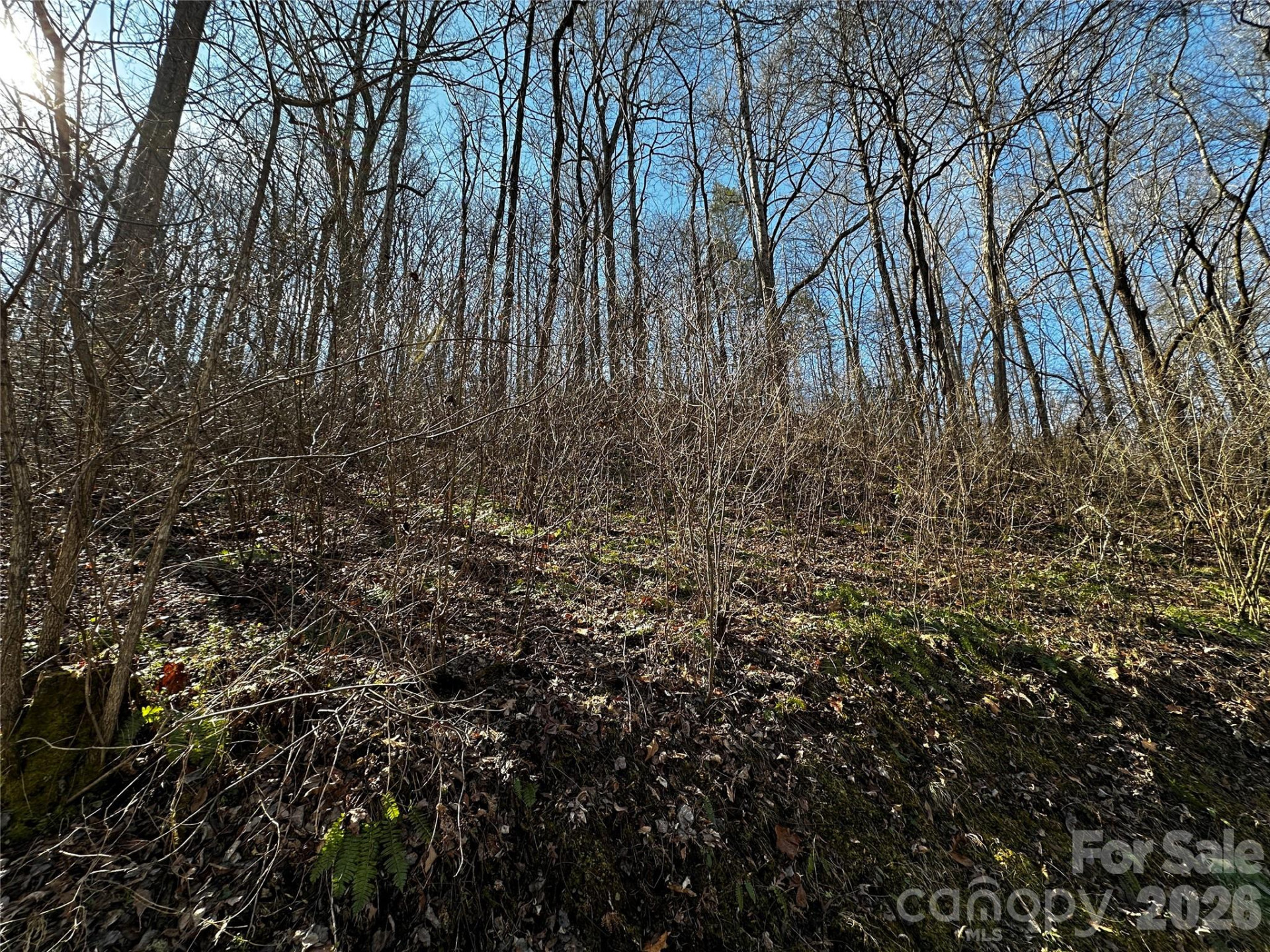 Lot 11 Blue Mist Mountain Road - Photo 10