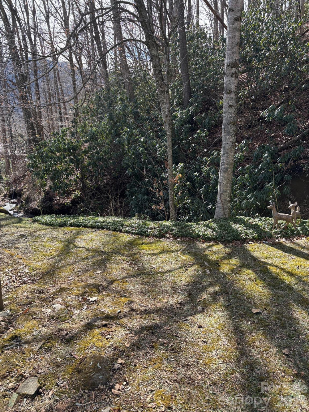 5 Creekside Drive - Photo 11