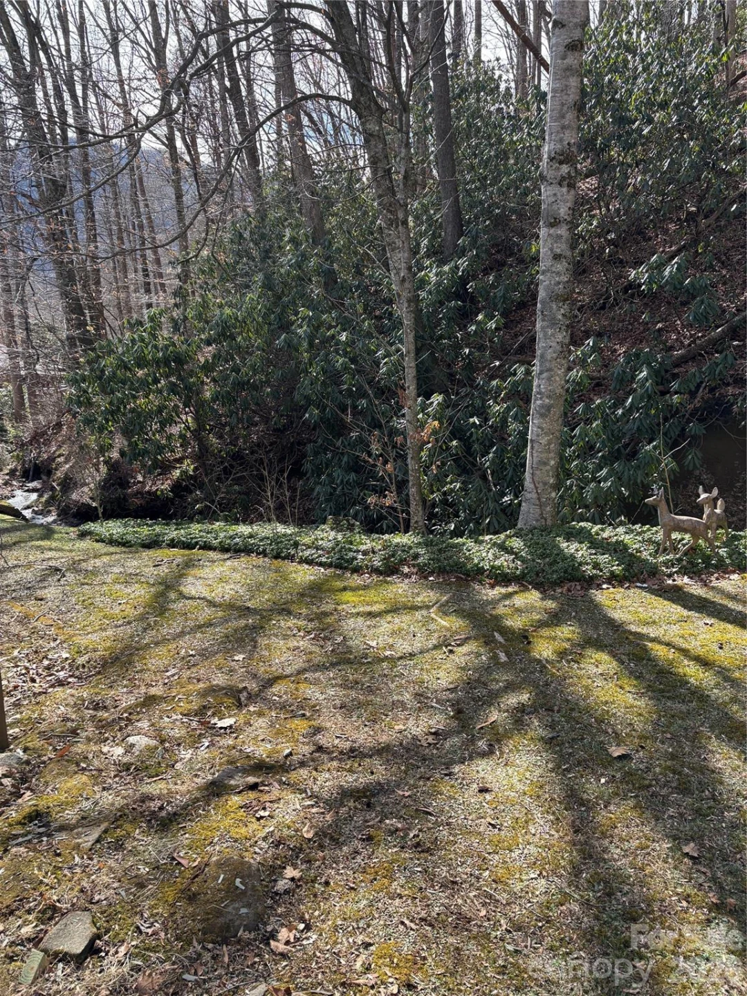 5 Creekside Drive - Photo 11