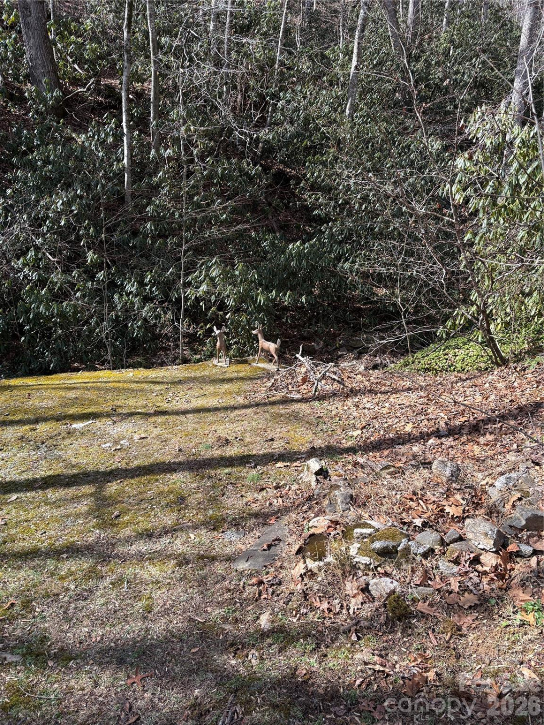 5 Creekside Drive - Photo 12