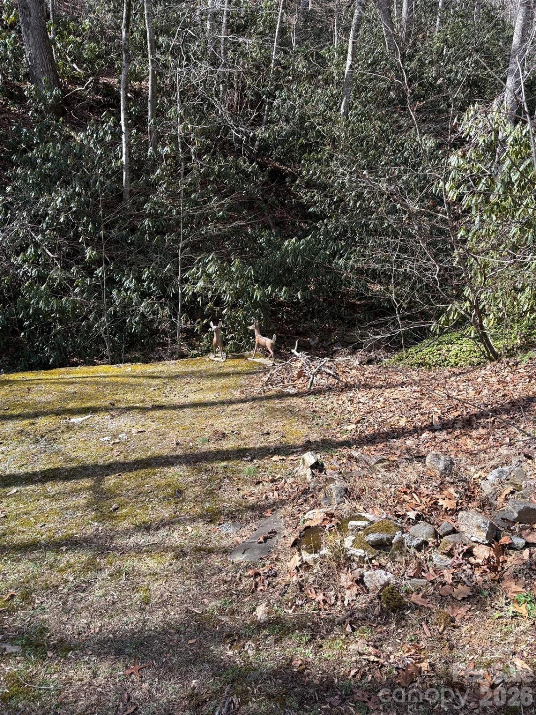 5 Creekside Drive - Photo 12