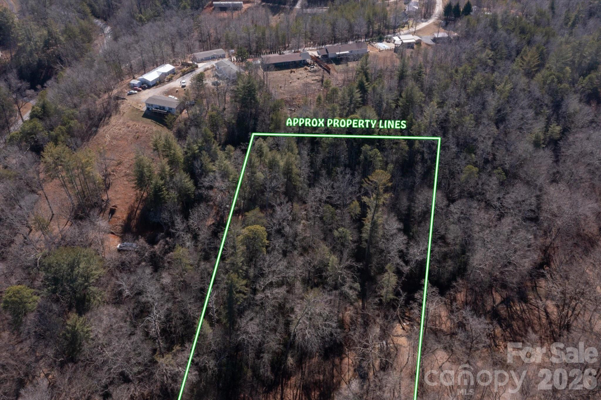 V/L Ridge Walk Road #16 - Photo 8