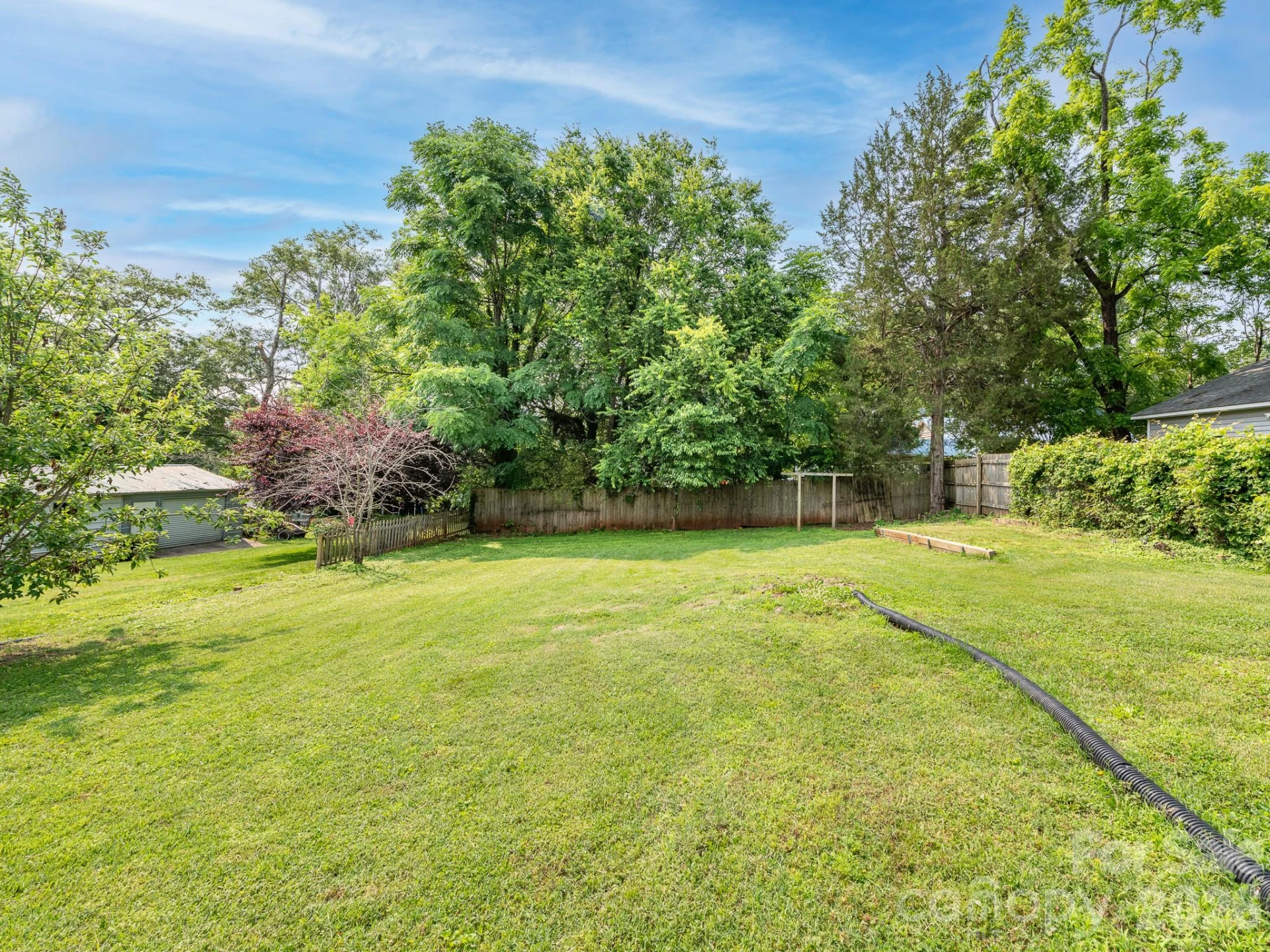 175 Pine Street - Photo 4