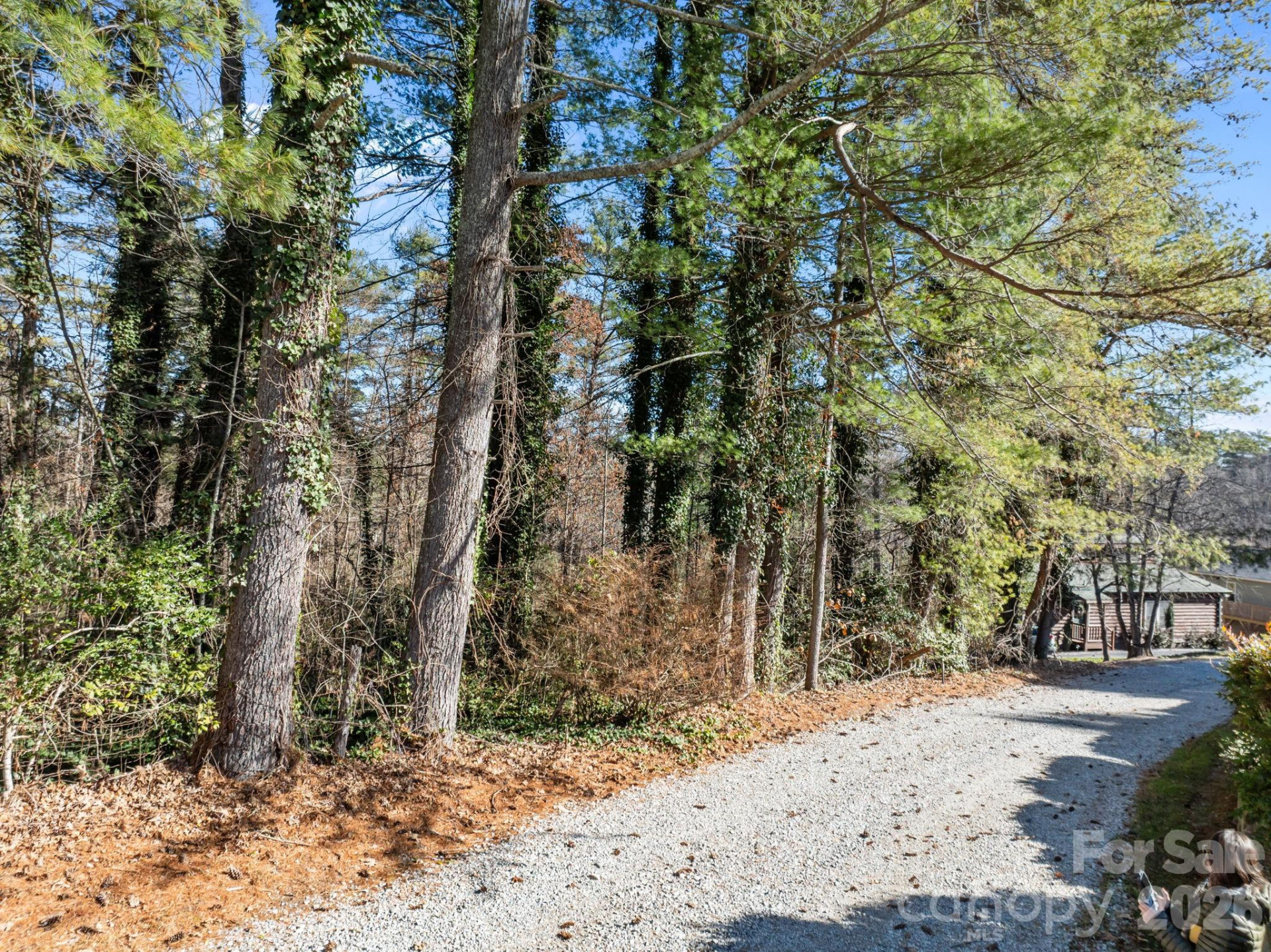 522 Bonner Street - Photo 4