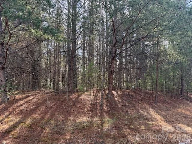 1386 Southpointe Drive - Photo 2