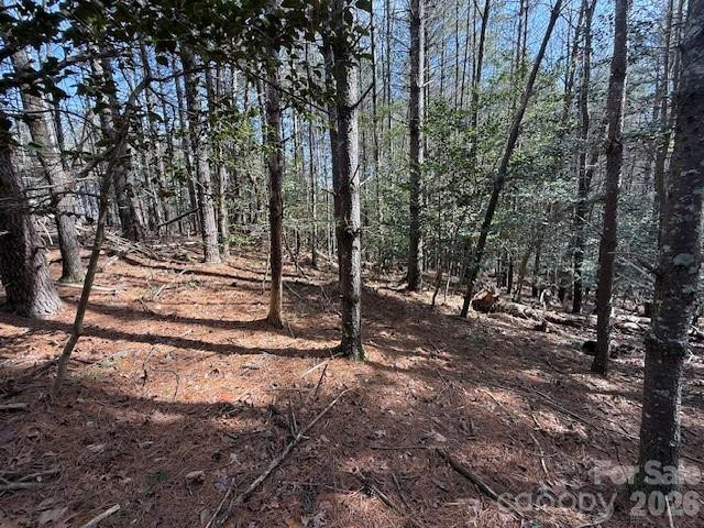 1386 Southpointe Drive - Photo 14