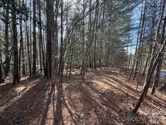 1386 Southpointe Drive - Photo 4