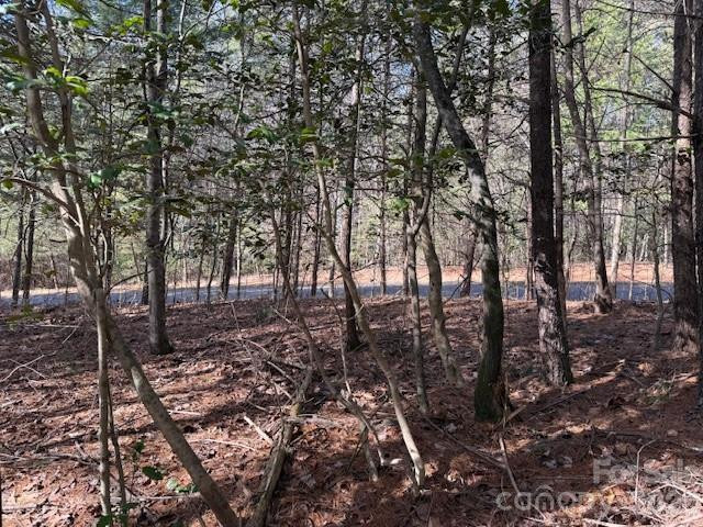 1386 Southpointe Drive - Photo 5