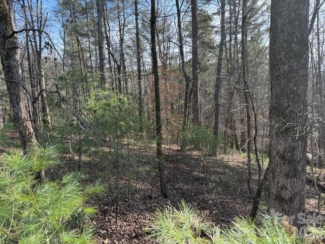 7 Settlement Ridge Drive - Photo 11