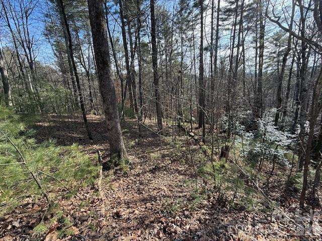 7 Settlement Ridge Drive - Photo 12