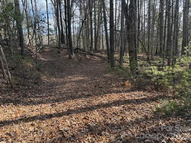 7 Settlement Ridge Drive - Photo 4