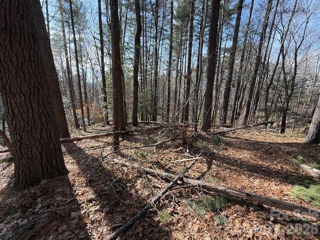 7 Settlement Ridge Drive - Photo 5