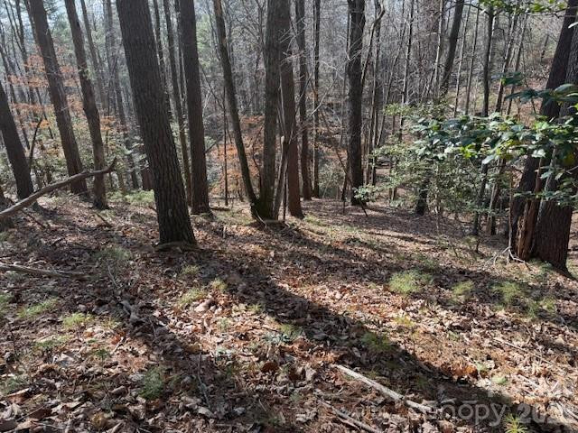 7 Settlement Ridge Drive - Photo 6