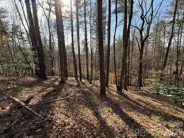 7 Settlement Ridge Drive - Photo 7