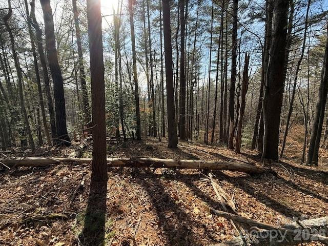 7 Settlement Ridge Drive - Photo 8