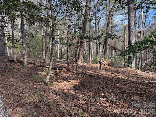 7 Settlement Ridge Drive - Photo 9