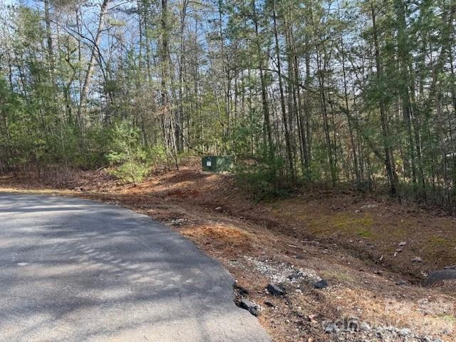 7 Settlement Ridge Drive - Photo 10