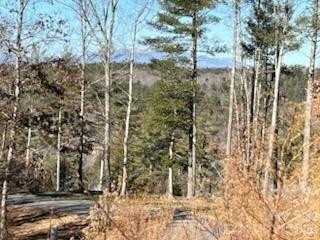 1144 Lakeside Way - Photo 4