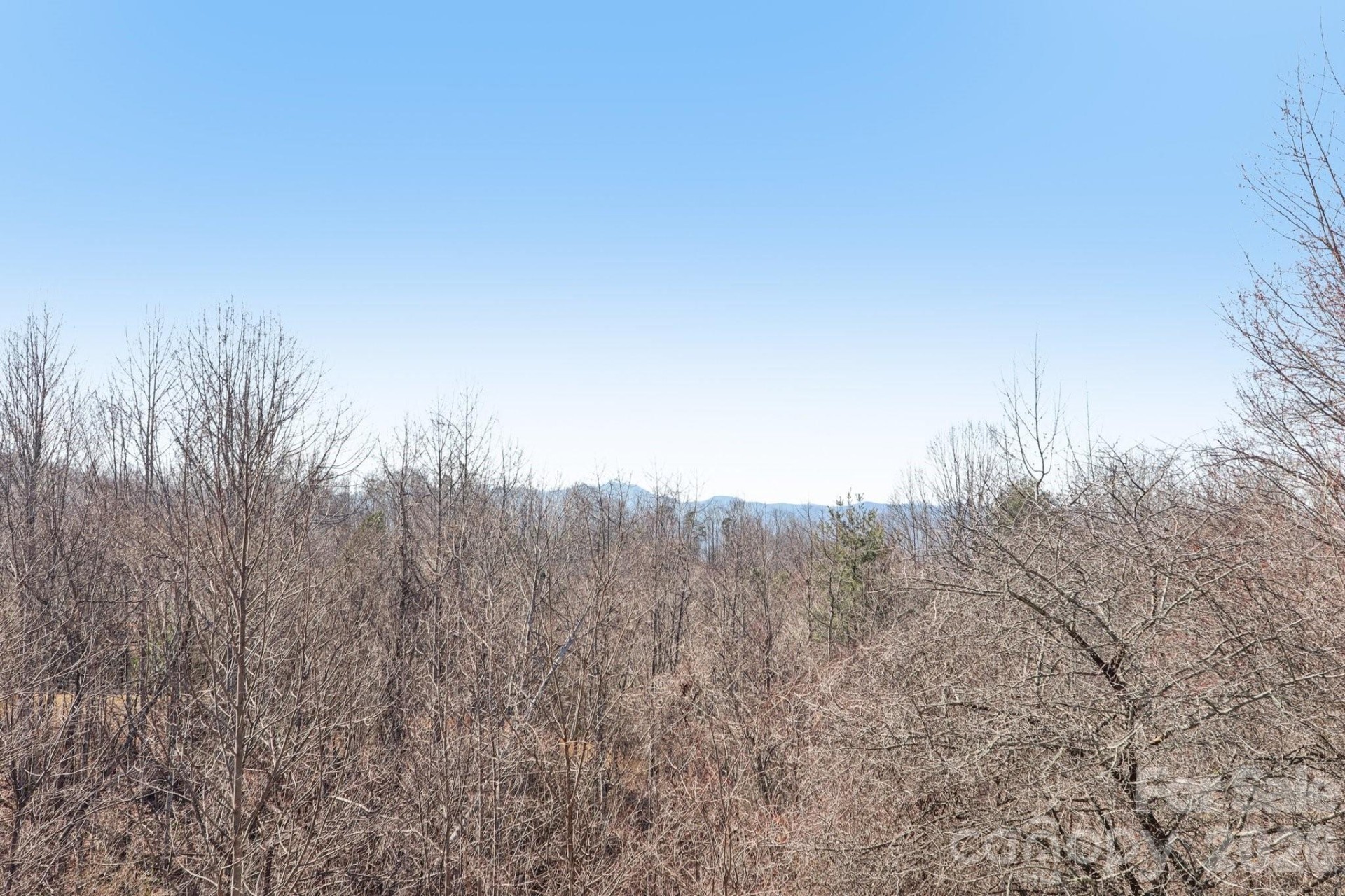 751 Hutch Mountain Road - Photo 38