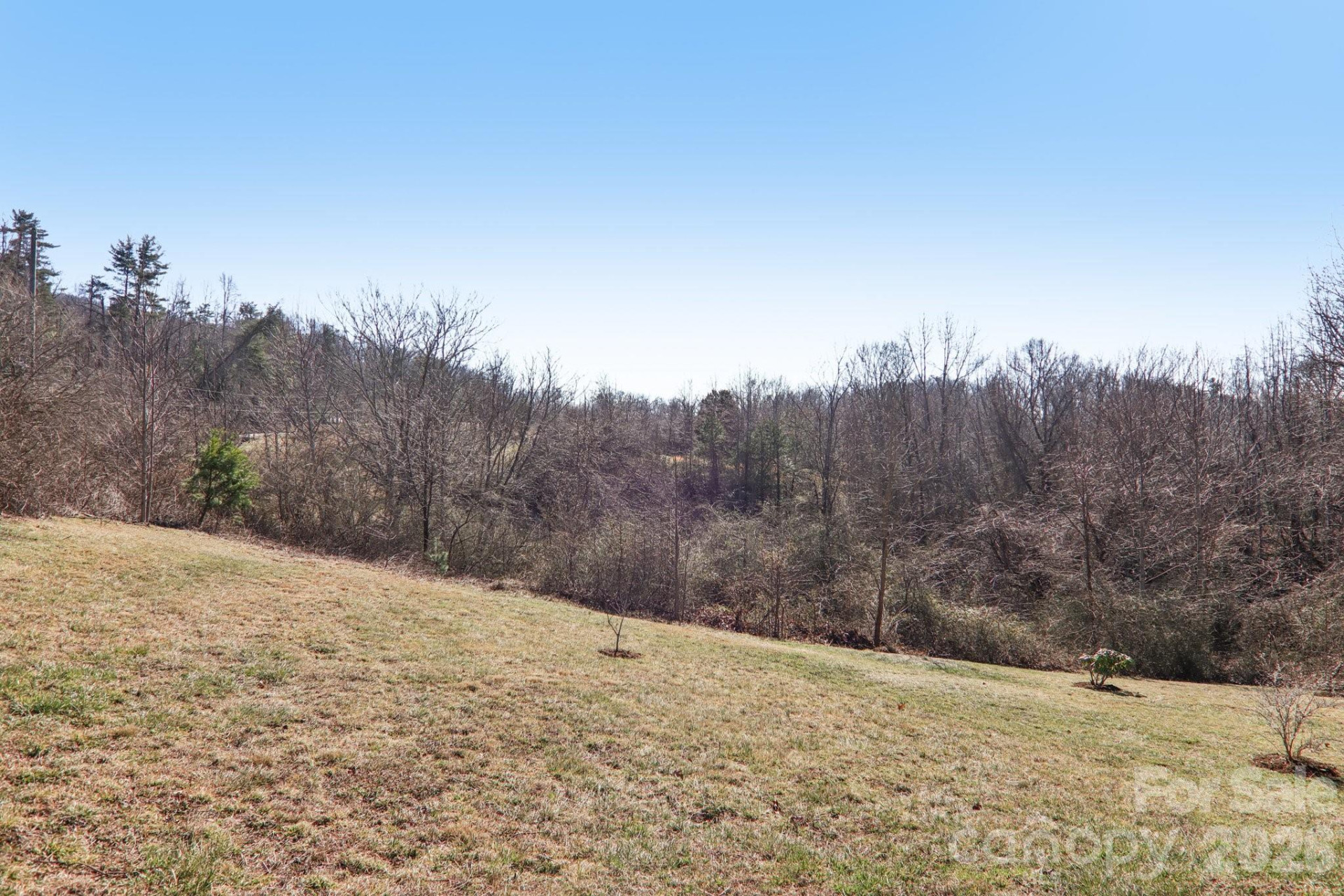 751 Hutch Mountain Road - Photo 40