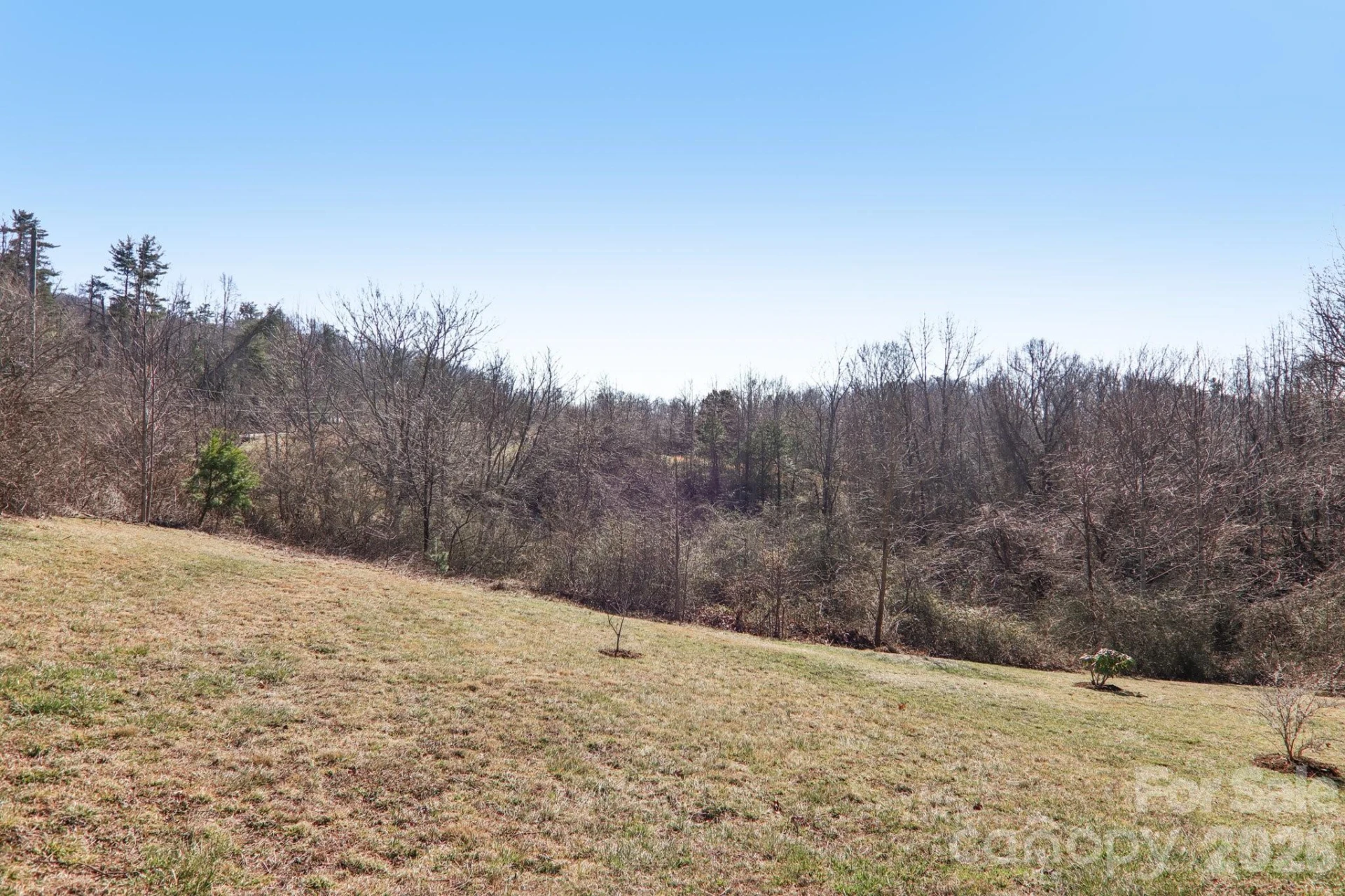 751 Hutch Mountain Road - Photo 40