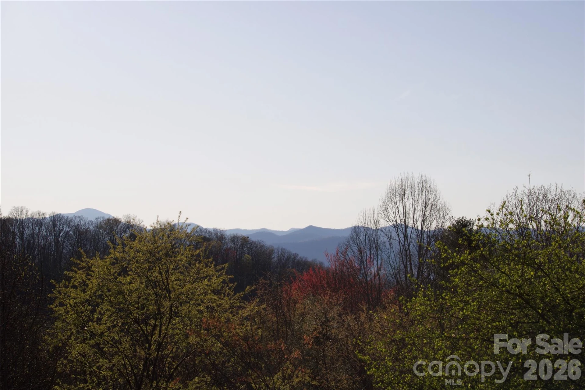 751 Hutch Mountain Road - Photo 46