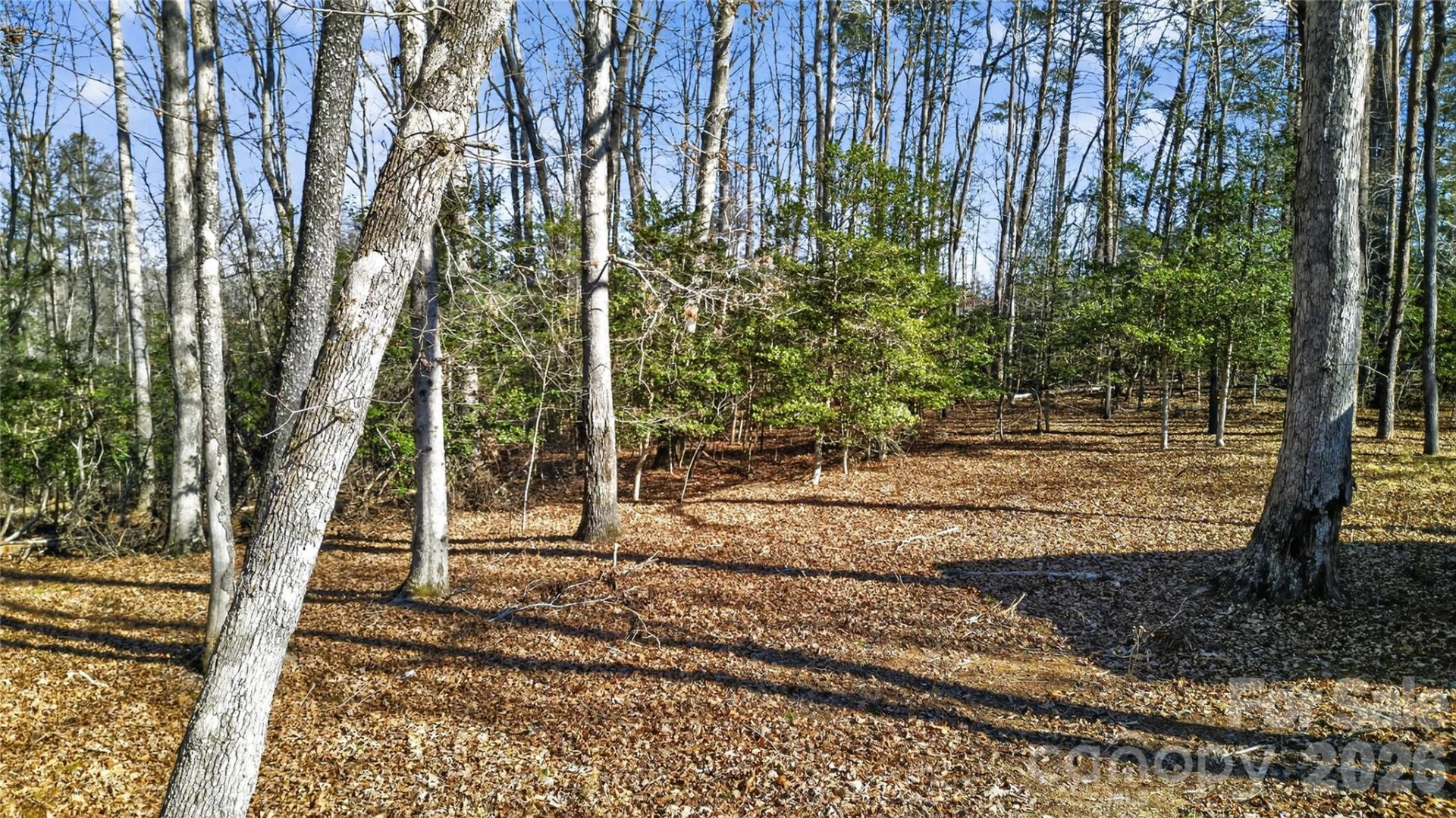 434 Free Path Drive - Photo 31