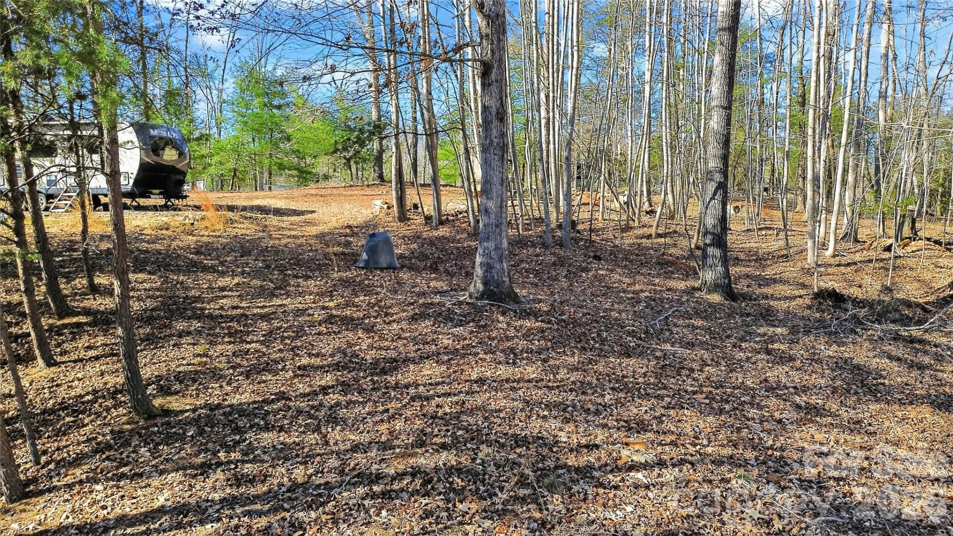 434 Free Path Drive - Photo 32
